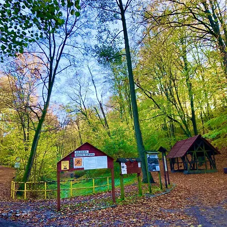 Slupski Premium: Spacious Business With Entertainment Apartment